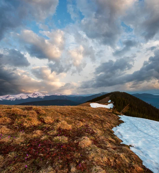 Sunrise spring Carpathian mountains — Stock Photo, Image