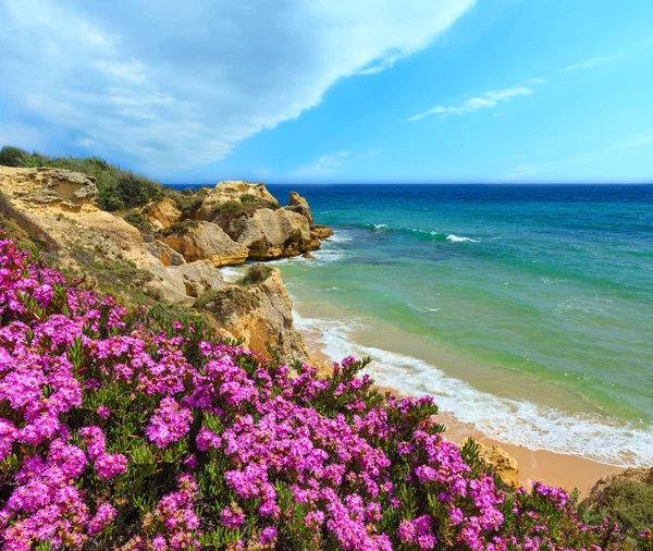 Vista costeira em flor do Atlântico (Algarve, Portugal ). — Fotografia de Stock
