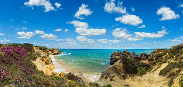 Vista de la costa atlántica en flor, Algarve, Portugal —  Fotos de Stock