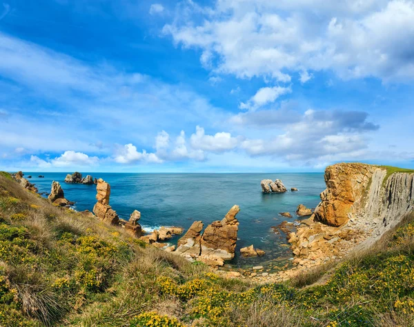 朵朵的大西洋海岸线. — 图库照片