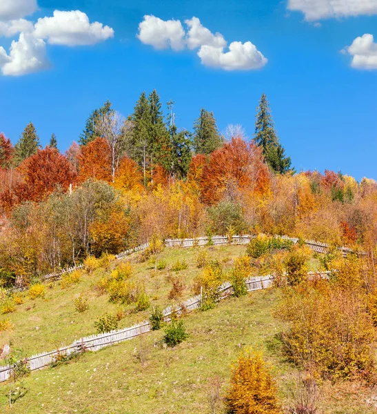 秋天的大山, 乌克兰 — 图库照片