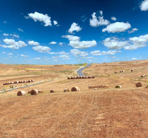 Sicily summer agriculture countryside, Italy — Stock Photo, Image