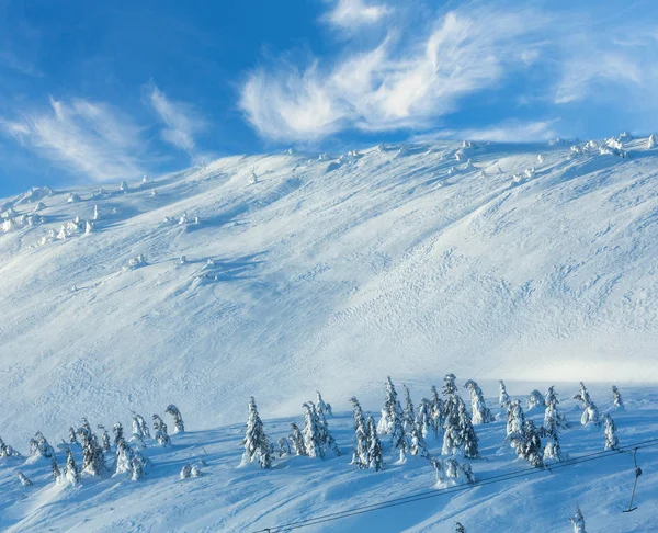 Árvores de abeto nevadas geladas na colina de inverno — Fotografia de Stock