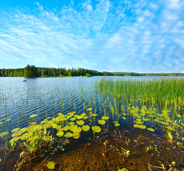 夏季湖景观， 芬兰 — 图库照片