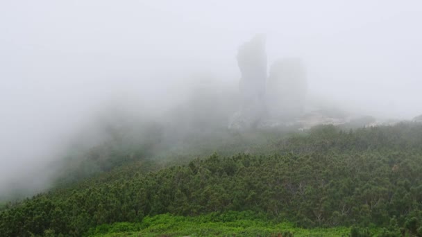 雾气的夏季山脊与大垂直石岩 风与低云和雾 卡尔帕蒂安 乔诺霍拉 武哈蒂伊 卡明伊 乌克兰 — 图库视频影像