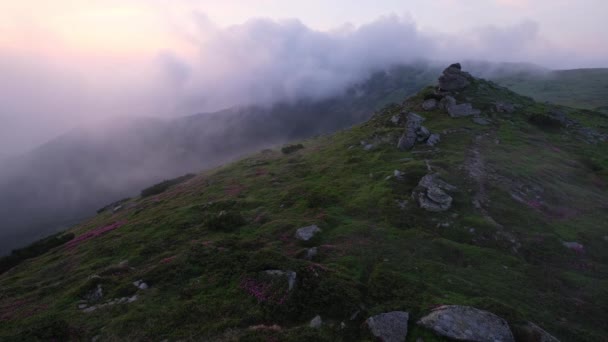 Roze Rhododendron Bloeit Zomer Berg Kruis Wind Met Weinig Wolken — Stockvideo