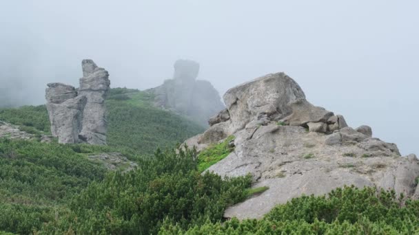 돌바위와 산능능선 구름과 안개바람 카르파티아어 코르노호라 부하티즈 카민즈 우크라이나 — 비디오