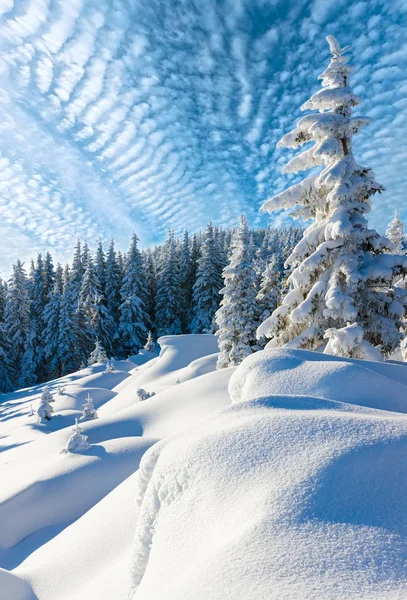 Winter mountain landscape — Stock Photo, Image