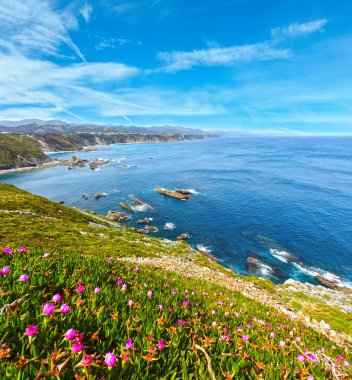 Cape Vidio coastline (Asturian coast, Spain). clipart