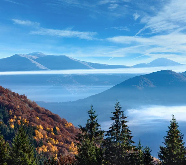 Piste de montagne d'automne avec forêt colorée . — Photo