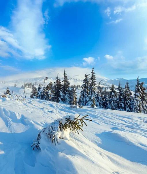 Manhã inverno paisagem de montanha, Cárpatos — Fotografia de Stock
