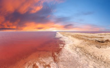 Sunset pink salty Syvash Lake, Ukraine clipart