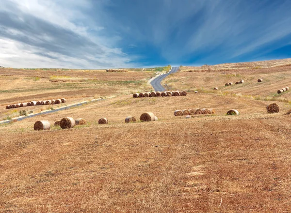 Sicily summer agriculture countryside, Italy — Stock Photo, Image