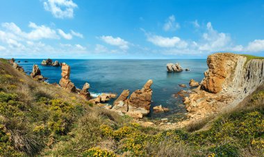 Çiçek açması Atlantik Okyanusu kıyı şeridi.