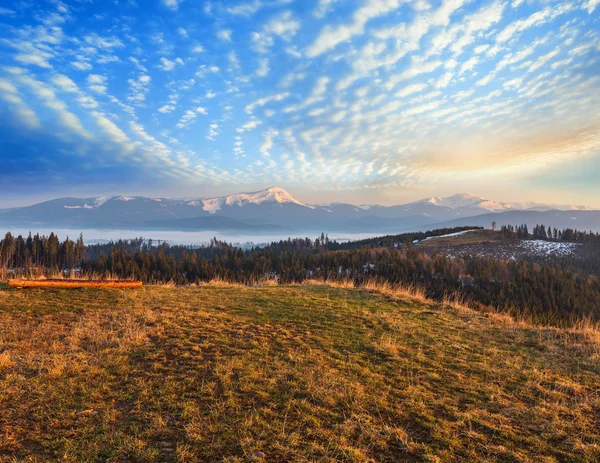 Early morning spring Carpathian mountains — Stock Photo, Image