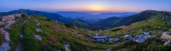 KARPATISK morgon sommar panoramautsikt. — Stockfoto