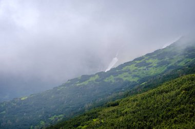 Yaz puslu sabah bulutlu Karpat Dağları (Chornohora koştu