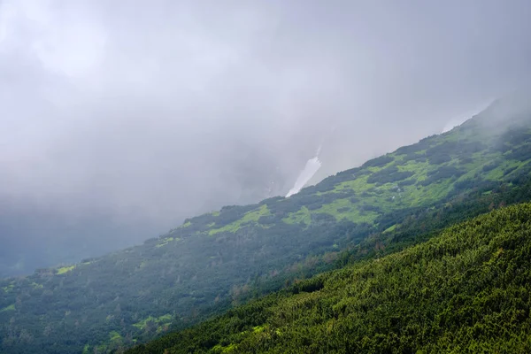 Summer misty morning cloudy Carpathian Mountains (Chornohora ran — Stock Photo, Image