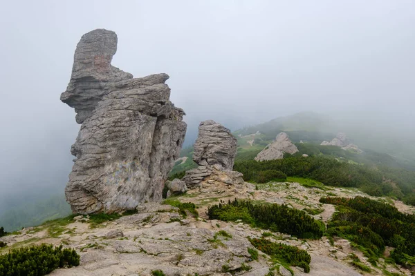 Summer misty morning cloudy Carpathian Mountains (Chornohora ran — Stock Photo, Image