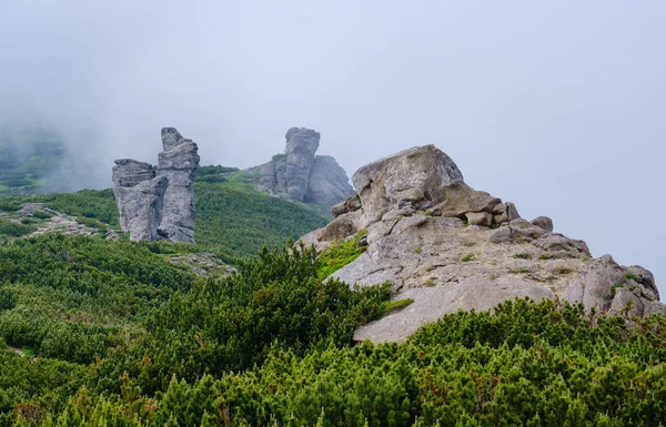 Летние туманные утренние облачные Карпаты (Черногора бежала — стоковое фото