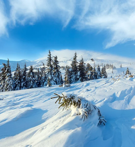 Poranny zimowy krajobraz górski, karpacki — Zdjęcie stockowe