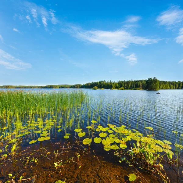 Vista de verão do lago, Finlândia — Fotografia de Stock