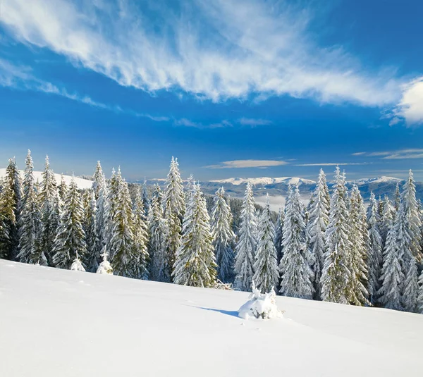 Kış Dağı Manzarası