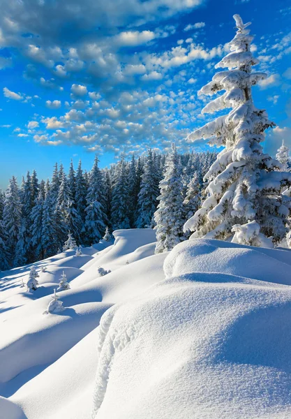 Paesaggio montano invernale — Foto Stock