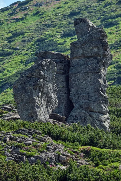 Letní Karpatské horské krajiny. — Stock fotografie