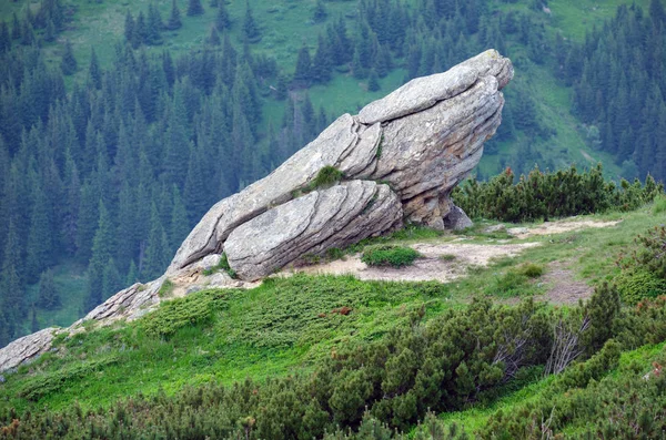 Verão paisagem de montanha dos Cárpatos . — Fotografia de Stock