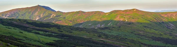 Karpat Dağı yaz panoraması — Stok fotoğraf