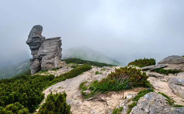 Letní mlhavé ráno zatažené v Karpatských horách (Ukrajina — Stock fotografie