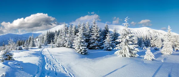 Morgen winterliche Berglandschaft — Stockfoto