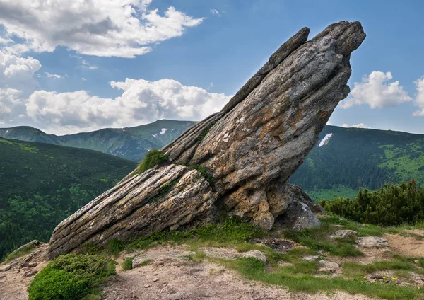 Summer Carpathian mountain landscape. — Stock Photo, Image