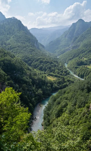 Tara Canyon, sommar utsikt (Montenegro). — Stockfoto