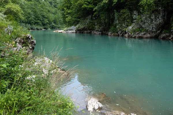 Rio Tara vista de verão (Montenegro ). — Fotografia de Stock