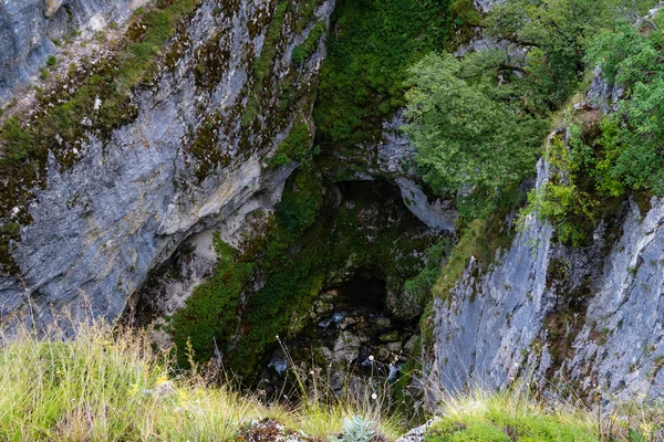 Wąski wąwóz lato widok, Nevidio Canyon, Czarnogóra — Zdjęcie stockowe