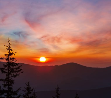 Gündoğumu bahar Karpat Dağları