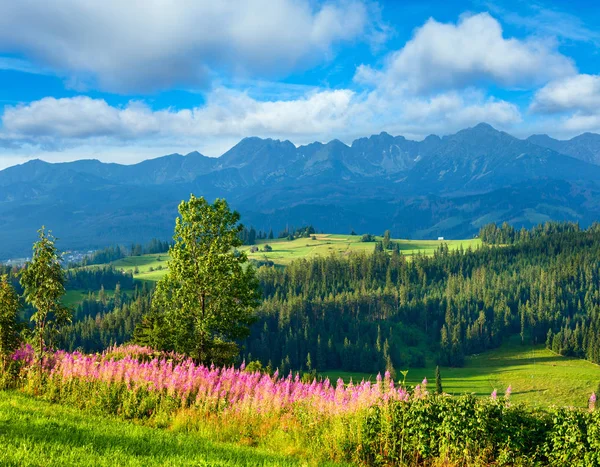 Yaz dağ ülke görünümü — Stok fotoğraf