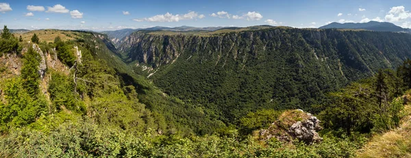 Summer Tara Canyon in mountain Durmitor National Park, Montenegr — Stock Photo, Image