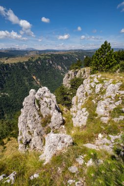 Durmitor Ulusal Parkı'ndaki Yaz Tara Kanyonu, Karadağ