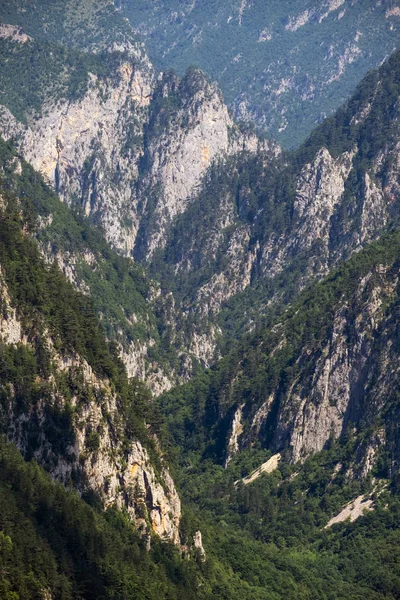 Verano Cañón Tara en la montaña Parque Nacional Durmitor, Montenegr —  Fotos de Stock