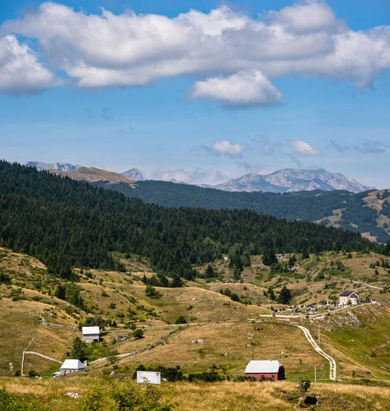 Nyári Mountain Durmitor Nemzeti Park, Montenegró — Stock Fotó