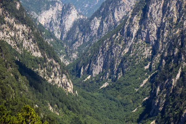 Summer Tara Canyon Durmitorin kansallispuistossa, Montenegr — kuvapankkivalokuva