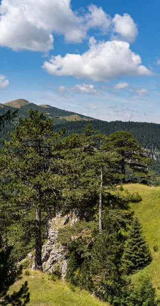 Letni Kanion Tara w parku narodowym Durmitor, Czarnogórg — Zdjęcie stockowe