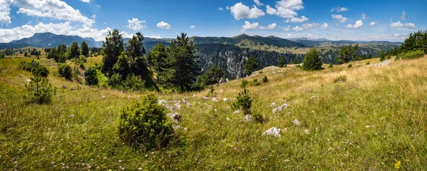 Letni Kanion Tara w parku narodowym Durmitor, Czarnogórg — Zdjęcie stockowe