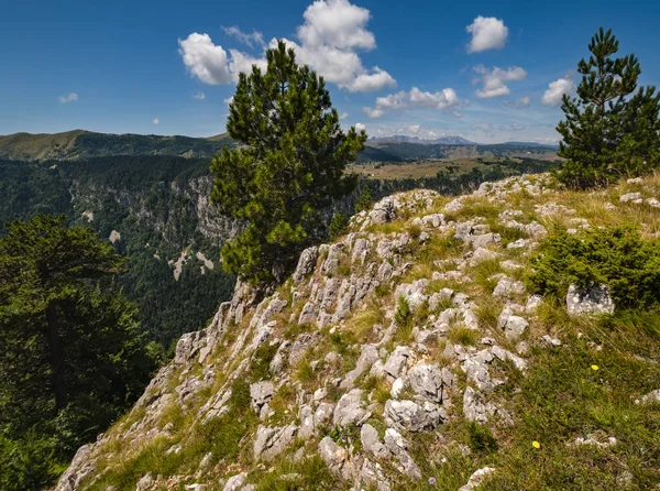 Verão Tara Canyon na montanha Durmitor National Park, Montenegr — Fotografia de Stock