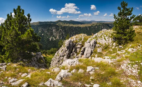 Sommer Tara Canyon im Berg Durmitor Nationalpark, montenegr — Stockfoto