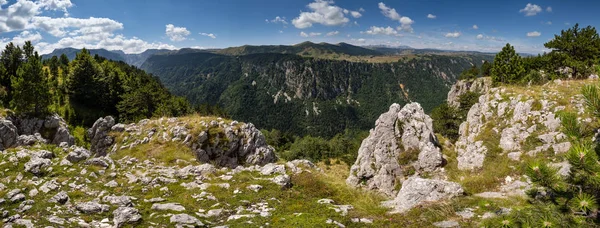 Verão Tara Canyon na montanha Durmitor National Park, Montenegr — Fotografia de Stock