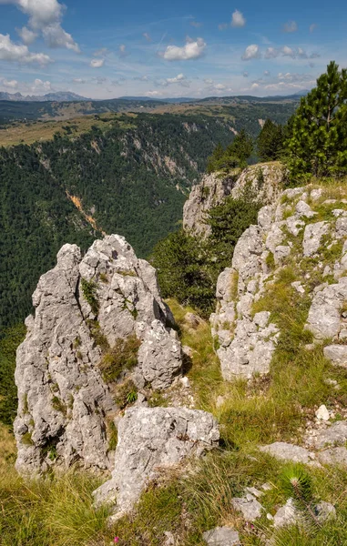 Durmitor Ulusal Parkı'ndaki Yaz Tara Kanyonu, Karadağ — Stok fotoğraf